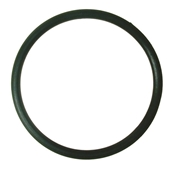 Immagine di O-RING 1/2"